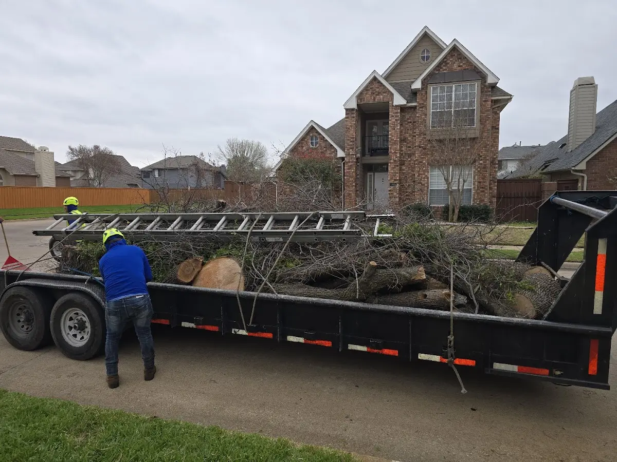 Expert Tree Fertilization with proper safety equipment in Paint Rock